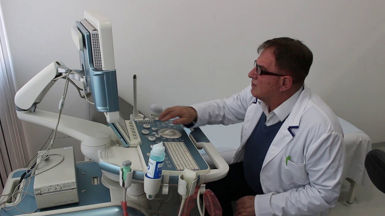 dr mirsad puzic